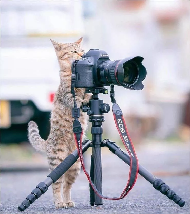 Picdump 517 - #27 