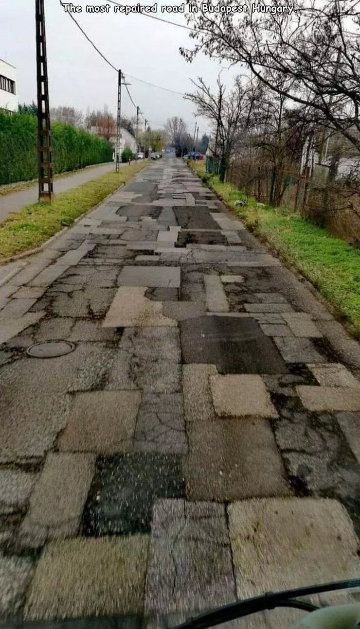 Picdump 517 - #44 