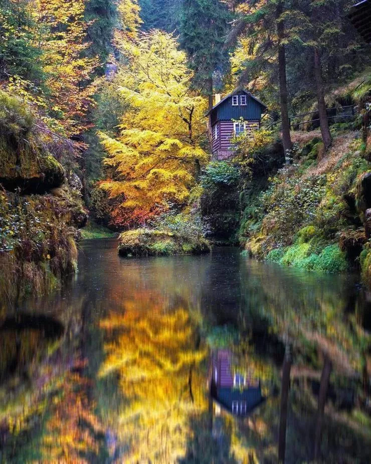 All about the fall spirit - #1 
