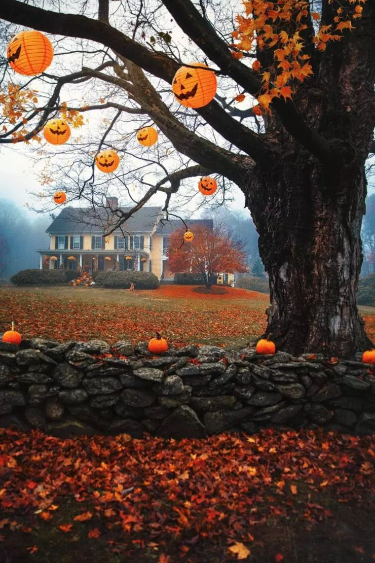 All about the fall spirit - #17 