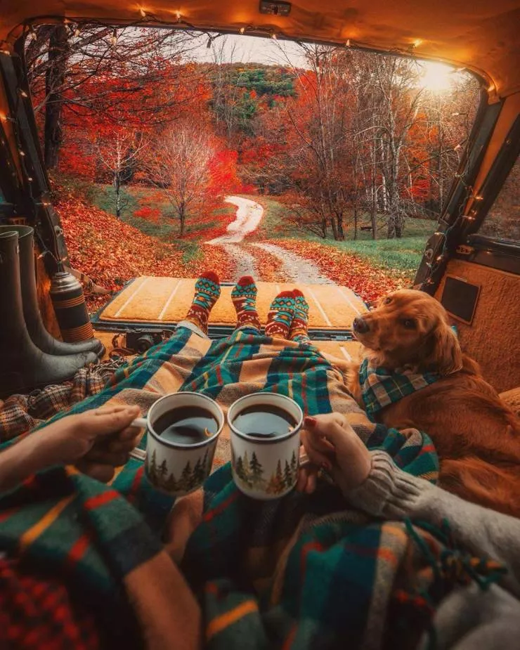 All about the fall spirit