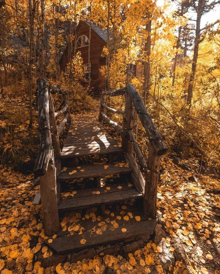 All about the fall spirit - #2 