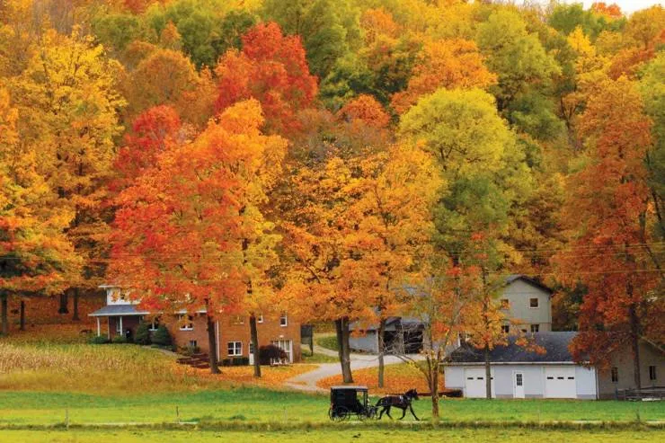 All about the fall spirit - #26 