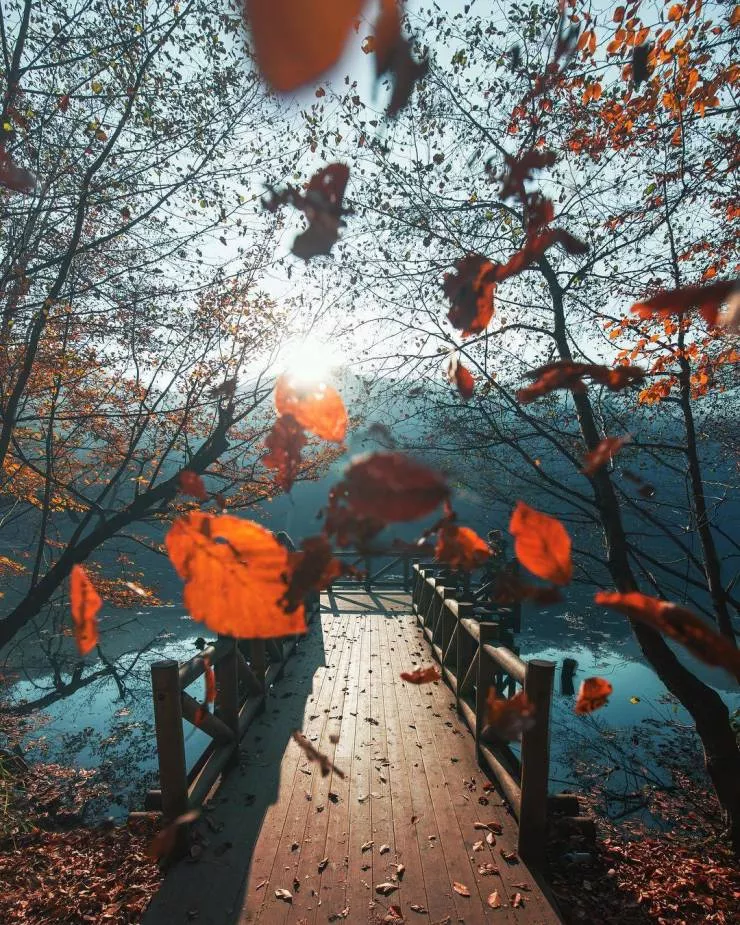 All about the fall spirit - #29 