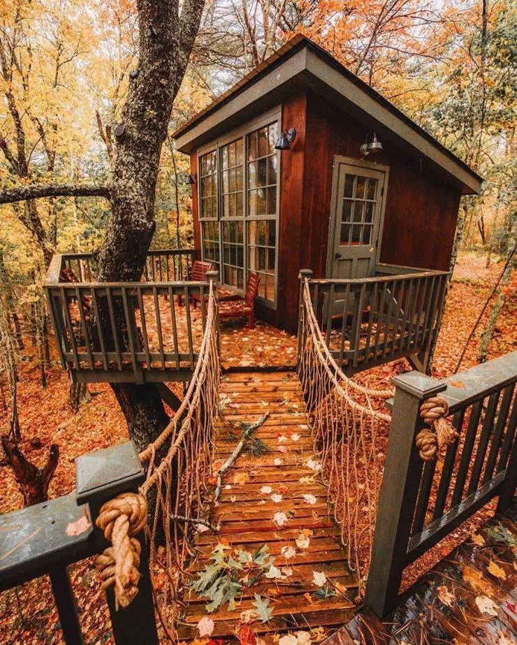 All about the fall spirit - #5 