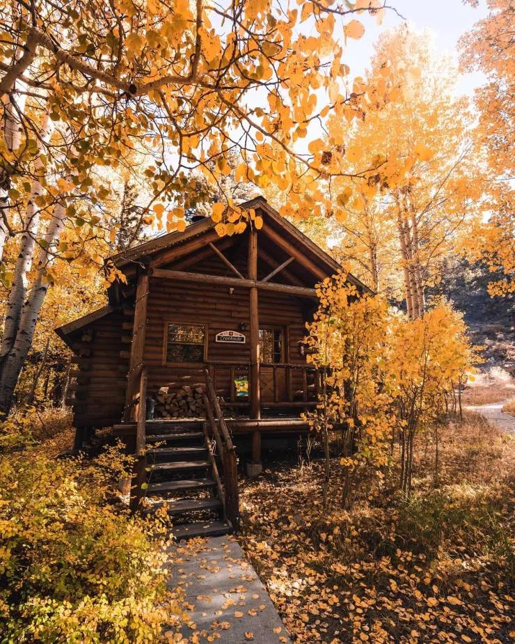 All about the fall spirit - #9 