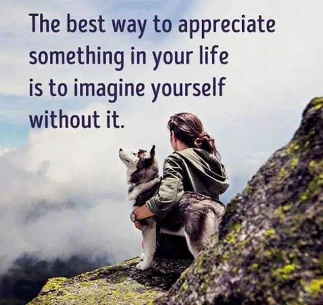 30 useful and practical life tips