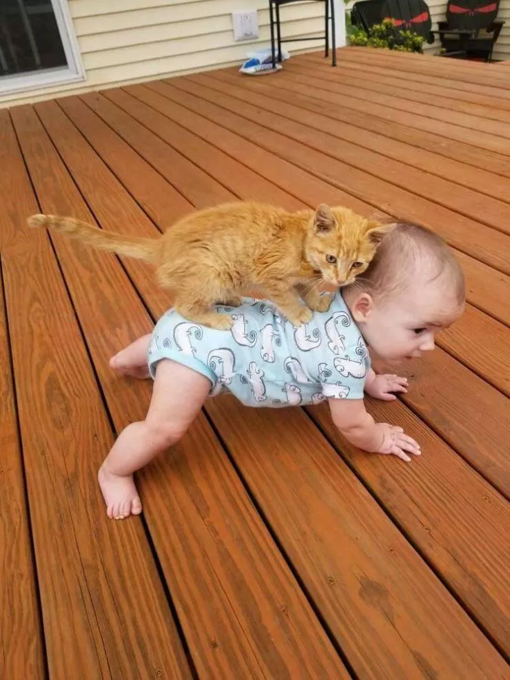 Picdump 518 - #13 