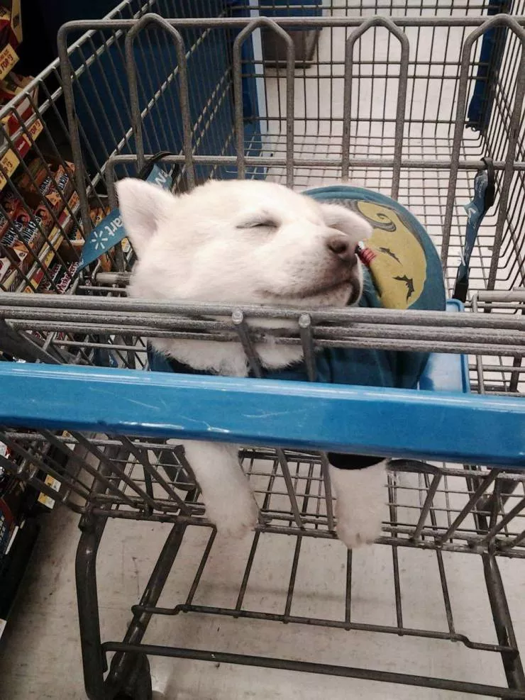 Picdump 518 - #18 