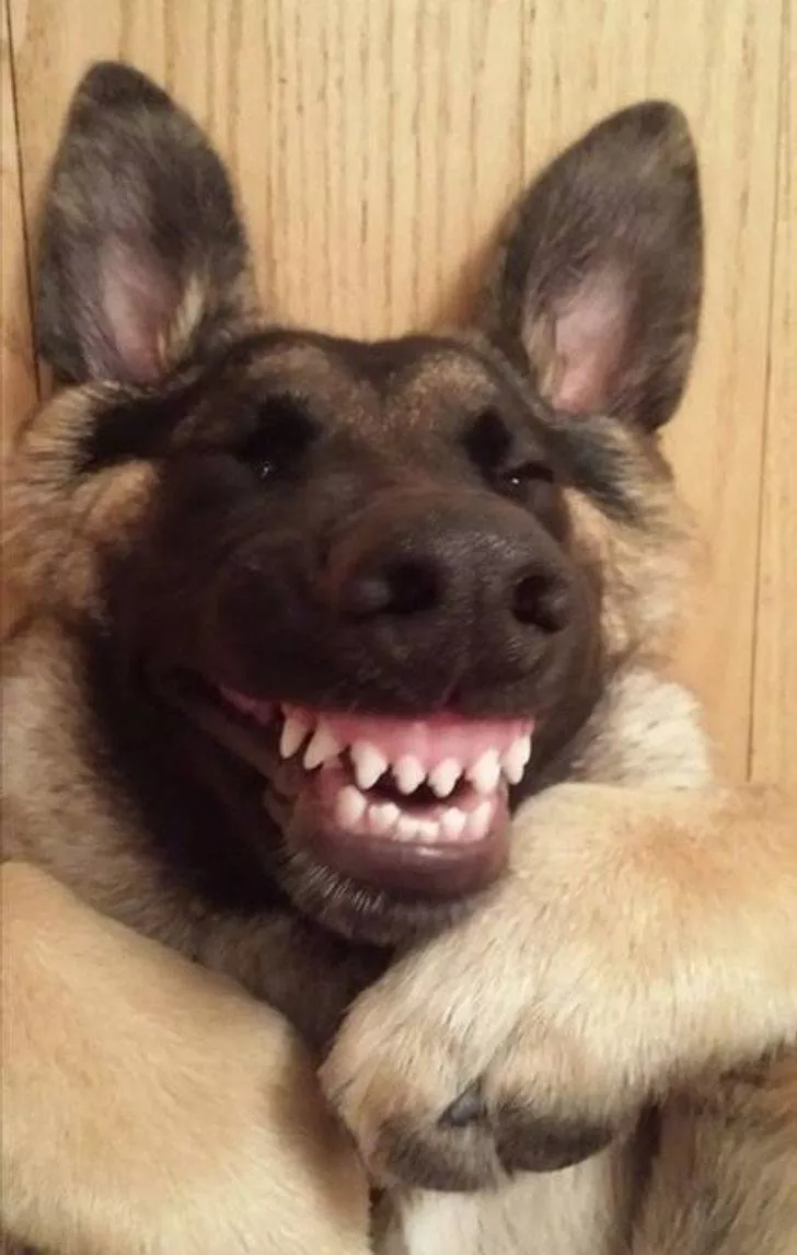 Picdump 518 - #28 