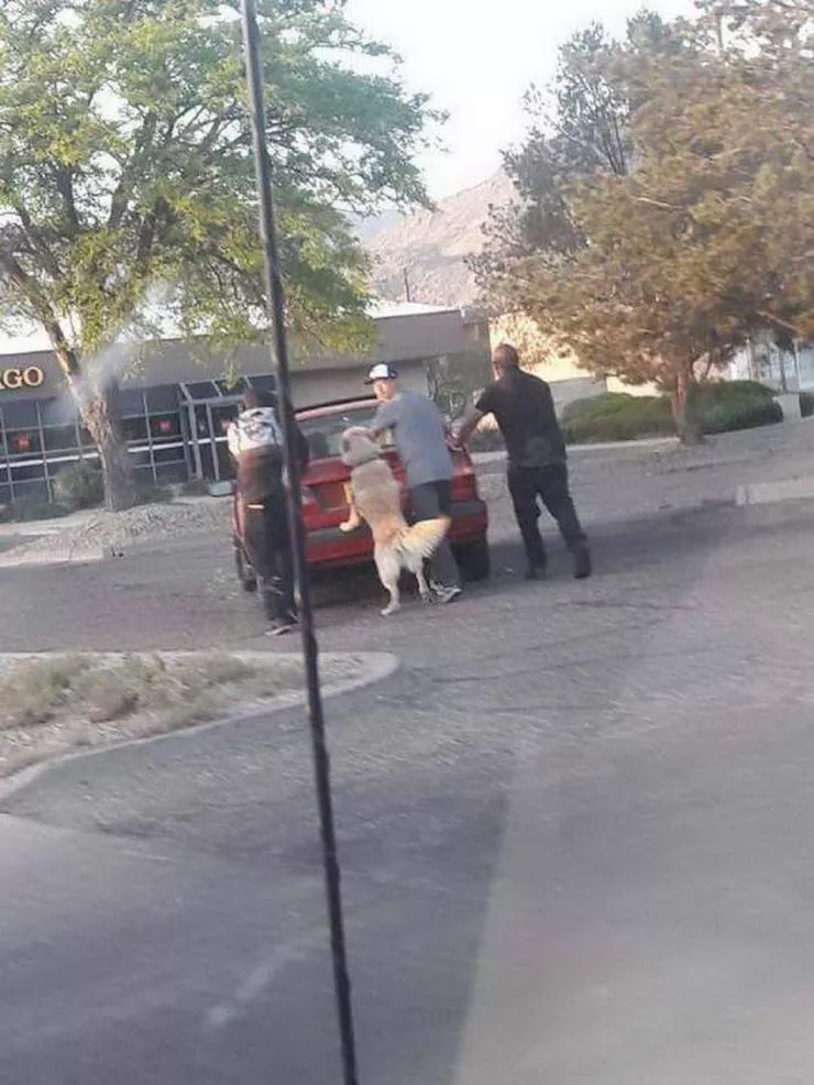 Picdump 518 - #34 