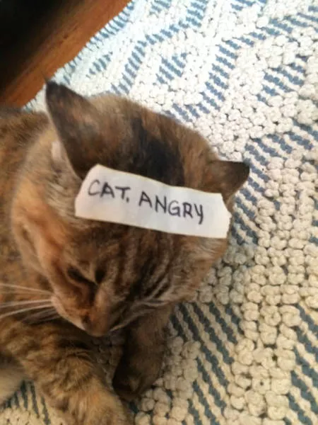 Picdump 89 - #13 