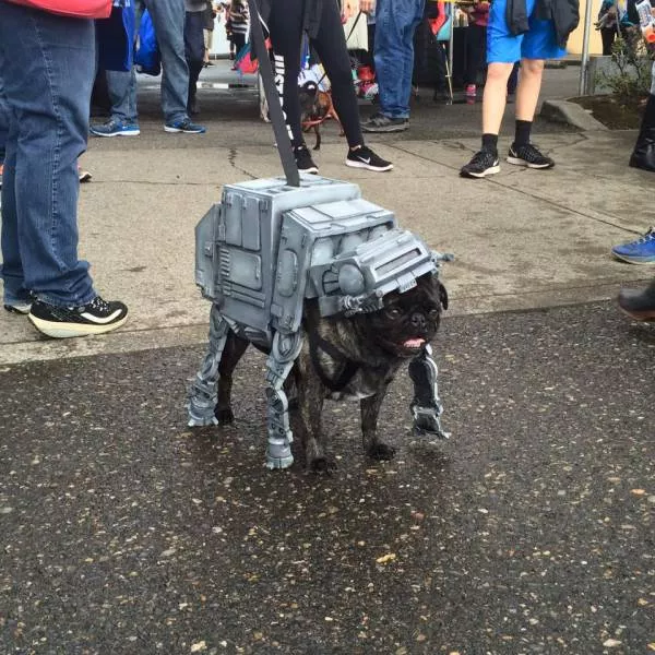 Picdump 89 - #24 