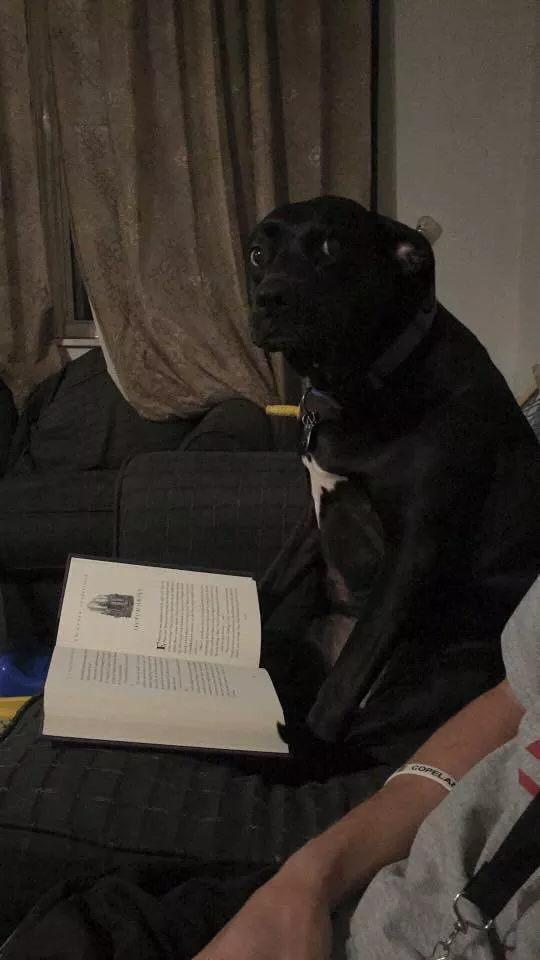 Picdump 89 - #26 