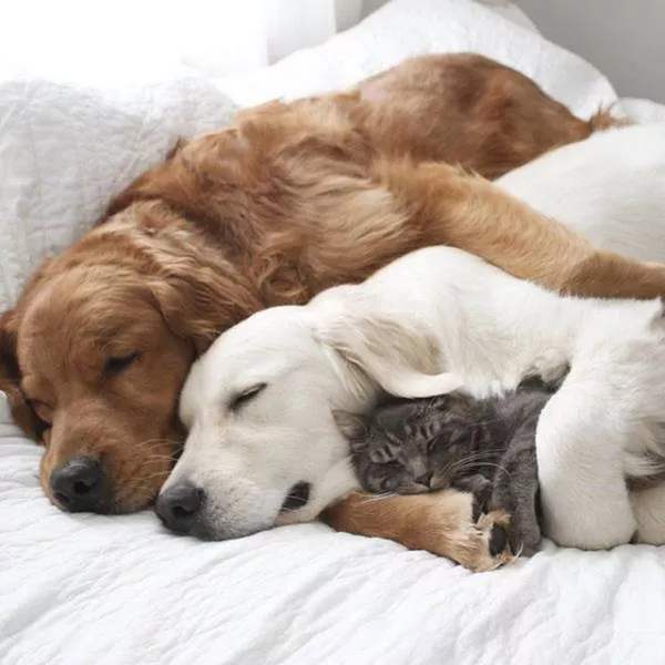 Picdump 89 - #31 