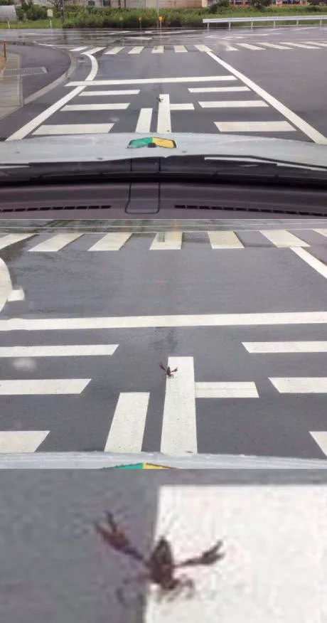 Picdump 89 - #32 