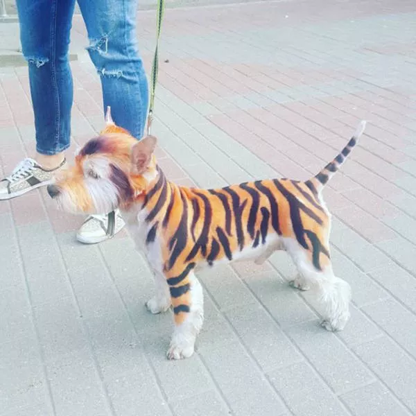 Picdump 89 - #38 