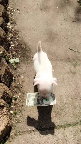 Picdump 89 - #55 