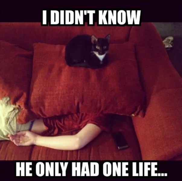Picdump 89 - #9 