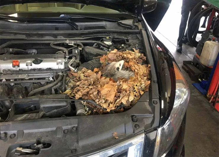Cliches of a mechanic - #2 