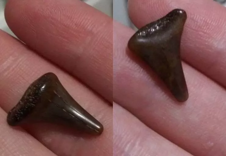 18 trouvailles rares et incroyables - #13 
