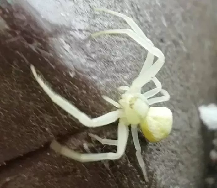 18 rare and incredible finds - #14 