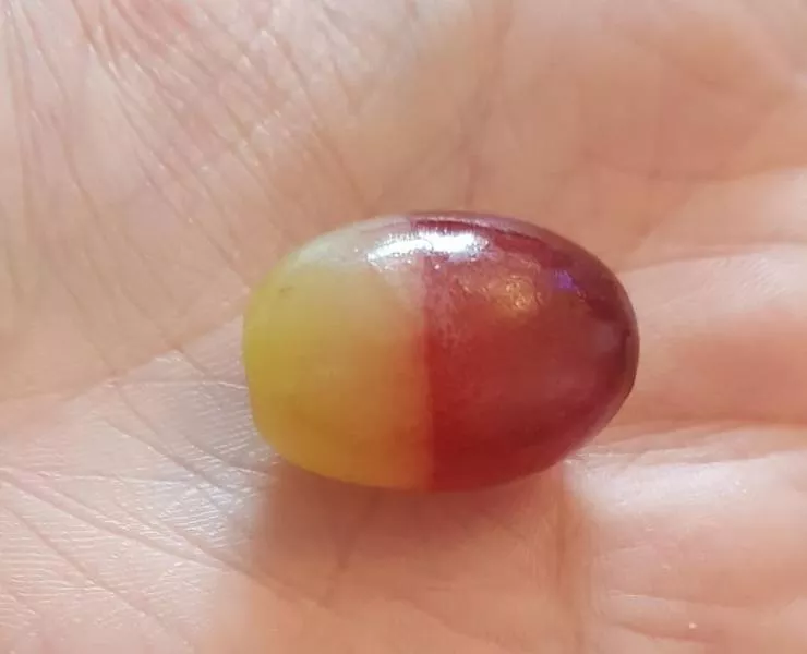 18 rare and incredible finds - #16 