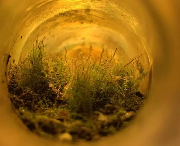 18 trouvailles rares et incroyables