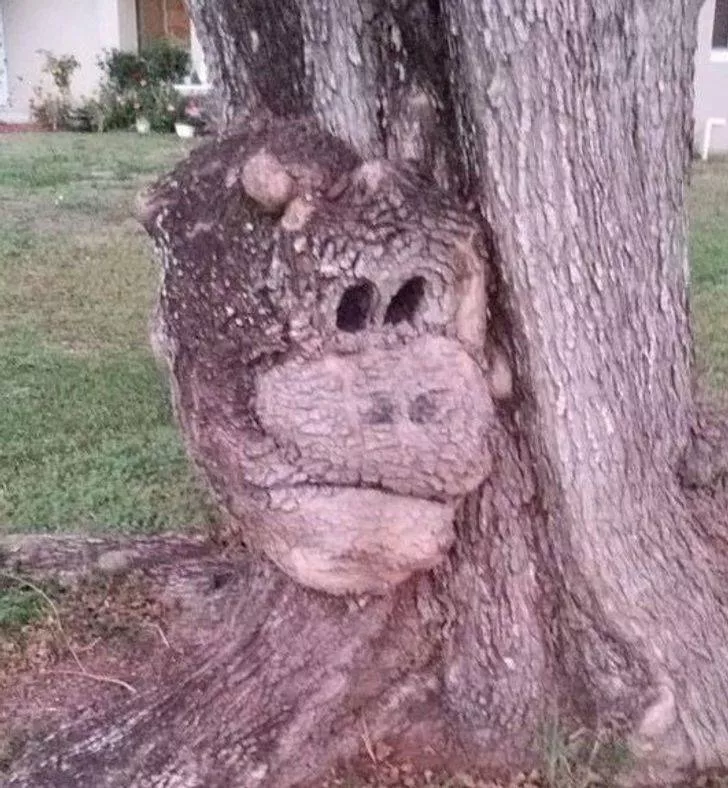 18 rare and incredible finds - #6 