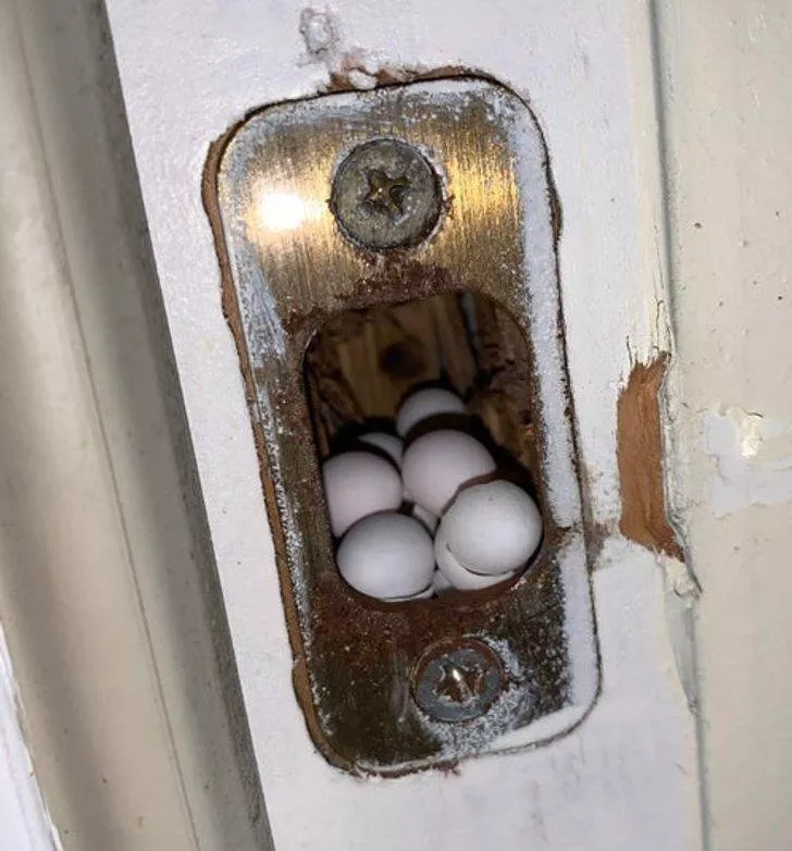 18 rare and incredible finds - #9 