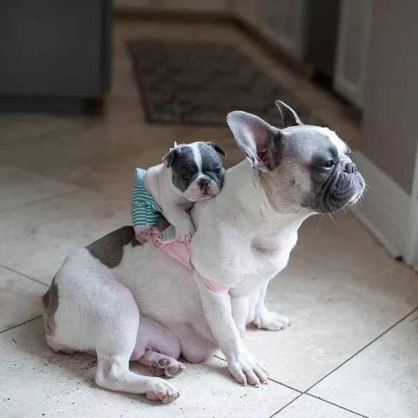 Picdump 520 - #27 