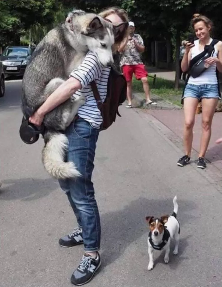 Picdump 520 - #45 