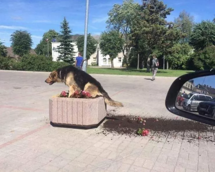 Picdump 521 - #21 