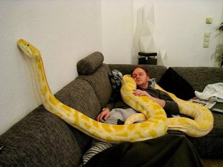 Picdump 521 - #54 