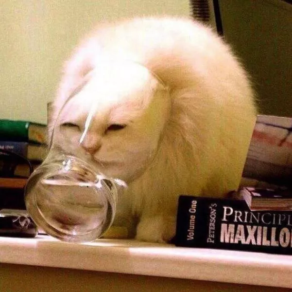 Picdump 521 - #60 