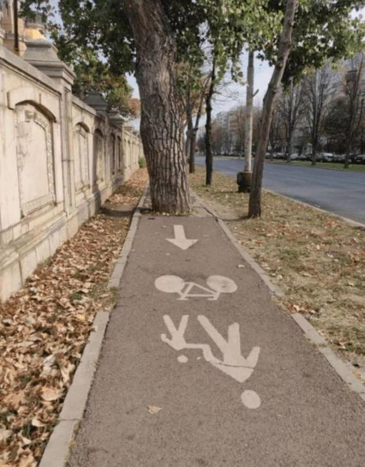 Vous passez une mauvaise journee regardez ces 45 photos - #15 