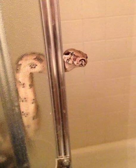 Picdump 523 - #15 