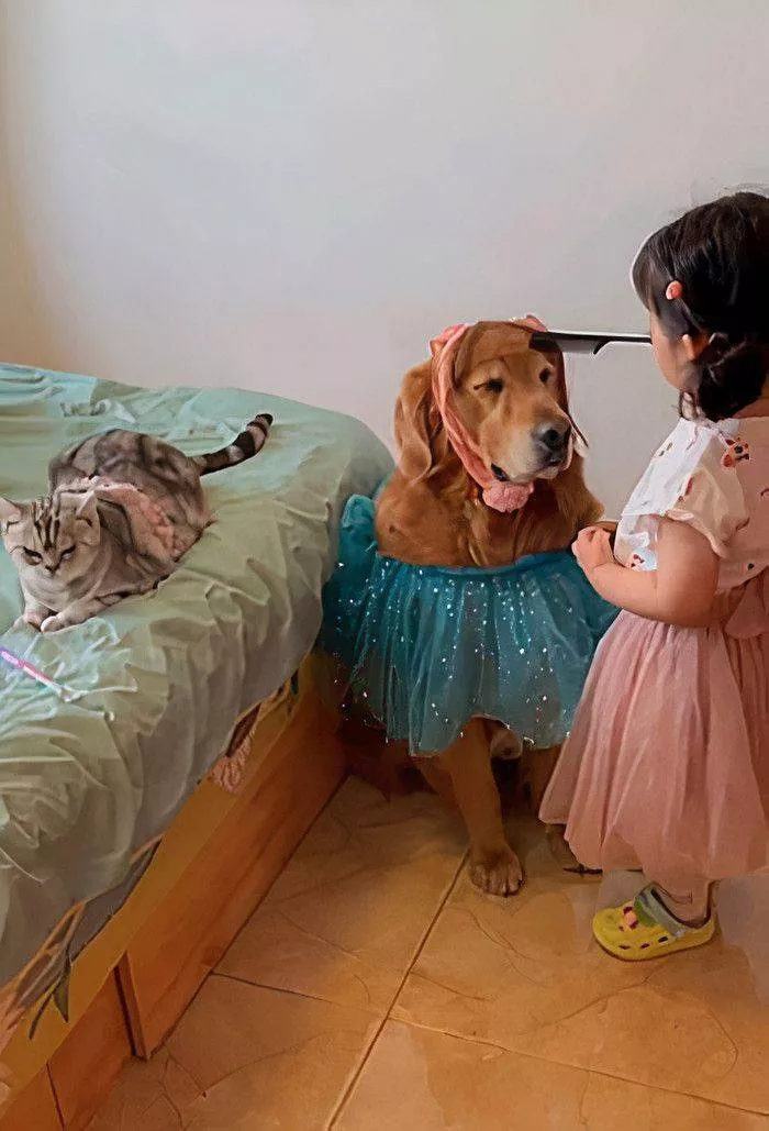 Picdump 523 - #33 