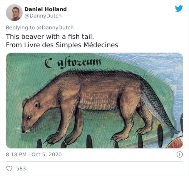 Unknown animals drawn by artists from the past - #12 