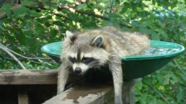 Picdump 90 - #20 