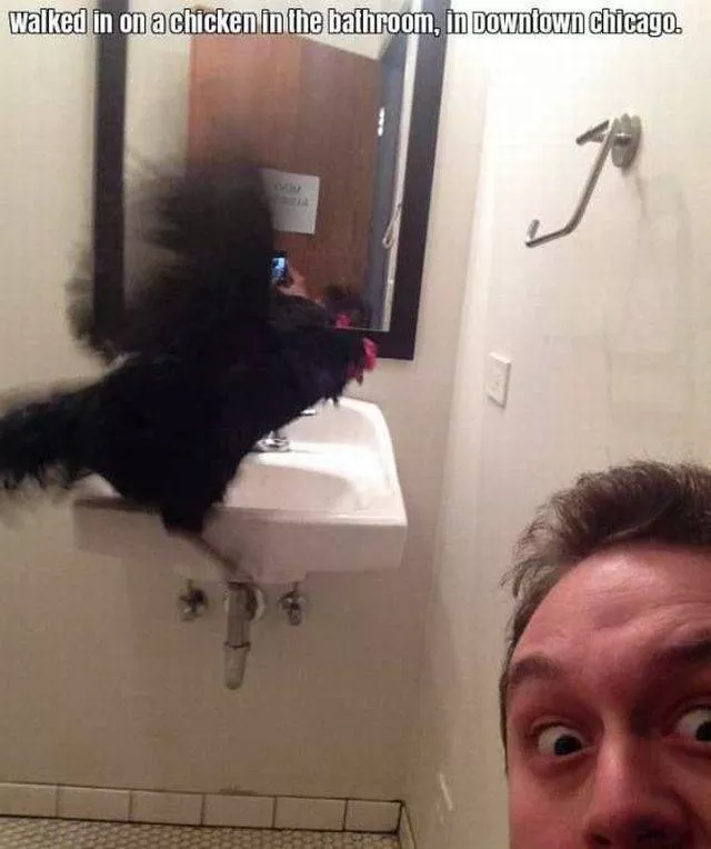 Picdump 90 - #4 