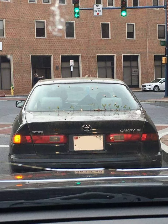 Picdump 90 - #7 