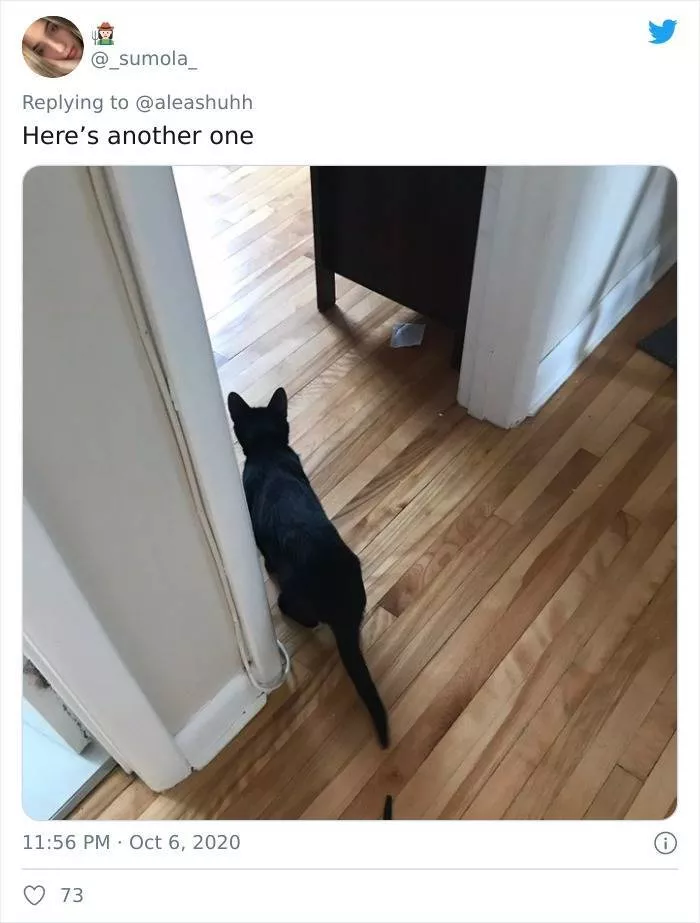 Shocking animals - #24 