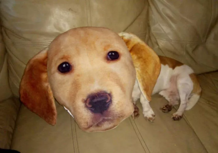 Shocking animals - #4 