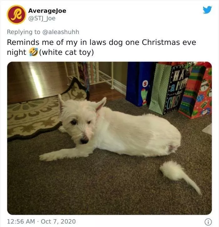 Shocking animals - #9 