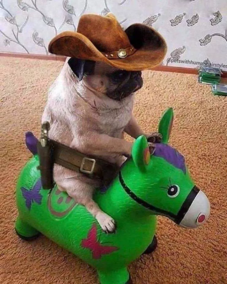Picdump 526 - #29 