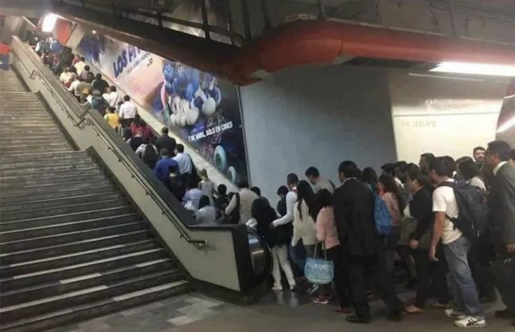 Picdump 526