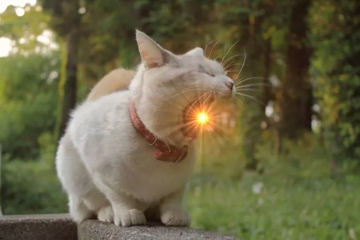 Picdump 526 - #45 