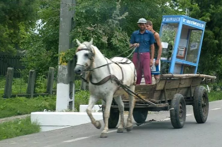 Picdump 526 - #71 