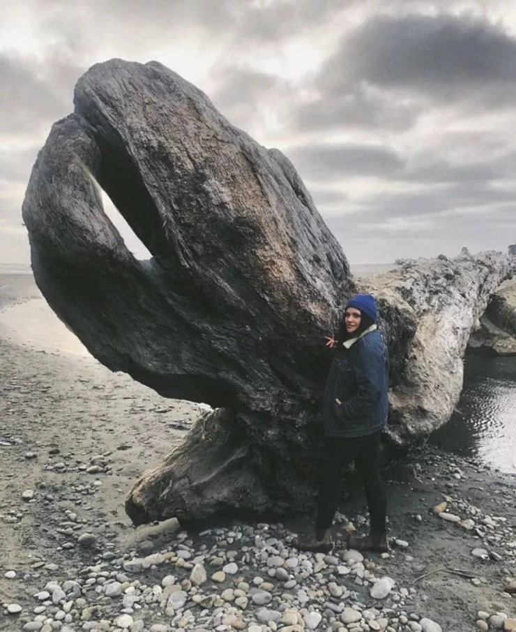 The 39 coolest photos of the week - #18 